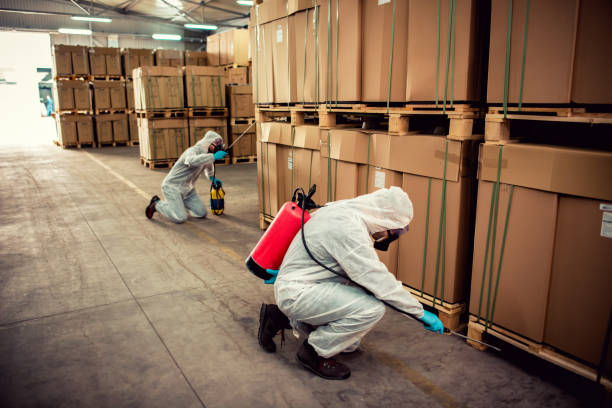 Best Termite Control Services  in Camp Hill, AL