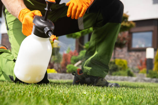 Best Affordable Pest Control Services  in Camp Hill, AL