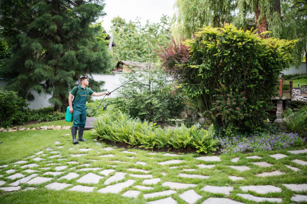 Best Affordable Pest Control Services  in Camp Hill, AL