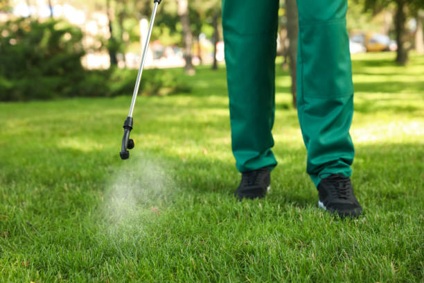 Best Exterminator Services  in Camp Hill, AL