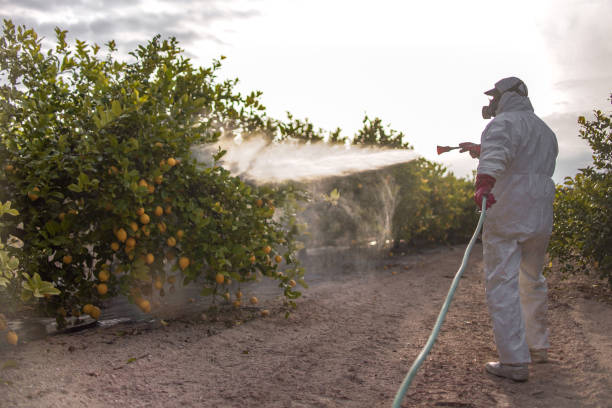 Professional Pest Control in Camp Hill, AL