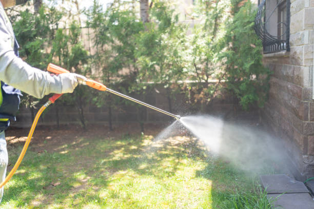 Best Mosquito Control Services  in Camp Hill, AL