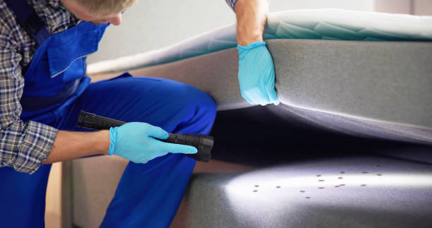 Best Commercial Pest Control Services  in Camp Hill, AL