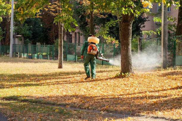 Best Emergency Pest Control  in Camp Hill, AL
