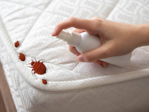 Best Flea Control Services  in Camp Hill, AL