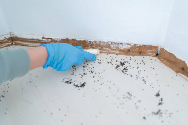 Best Pest Removal Services  in Camp Hill, AL