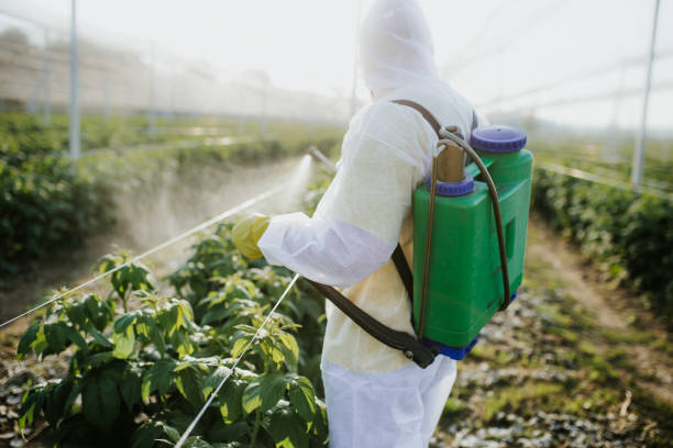 Best Ant Control Services  in Camp Hill, AL